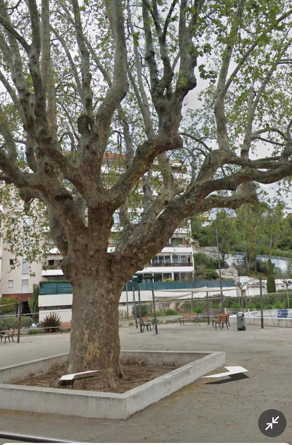 Le Vallombrosa T2 Cannes Kültér fotó